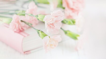 Fototapeta na wymiar Soft focus of pink carnation flowers and book, copy space, 16:9 panoramic format