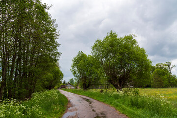 Tajemnicza i piękna Dolina Górnej Narwi, Podlasie, Polska