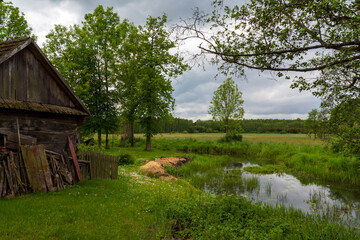 Tajemnicza i piękna Dolina Górnej Narwi, Podlasie, Polska © podlaski49