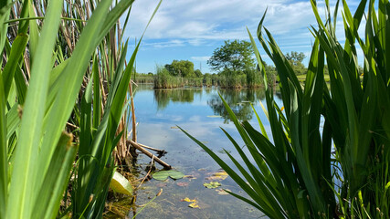 early morning on golf course sunrise morning moon pond golf green
