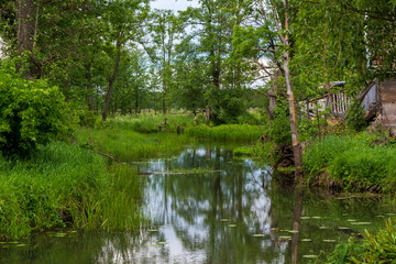 Tajemnicza i piękna Dolina Górnej Narwi, Podlasie, Polska