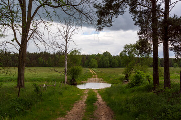 Tajemnicza i piękna Dolina Górnej Narwi, Podlasie, Polska