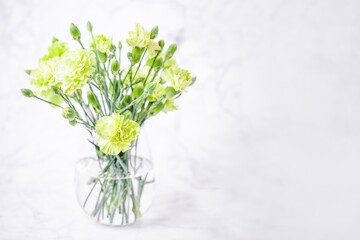 Green carnation flowers on a white marble background, copy space