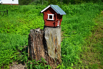 wild animal house on a stump