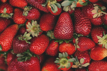 Fresh ripe strawberries at the market close up. Organic product suitable for vegeterians and vegans. Healty food concept background