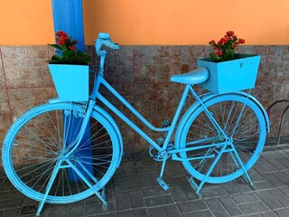 Fototapeta na wymiar bicycle and flowers in a street