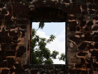 Foliage outside the window of the the ruins of an old church
