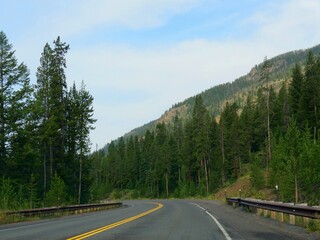 Naklejka premium Winding road with lush green trees at Yellowstone National Park in Wyoming.