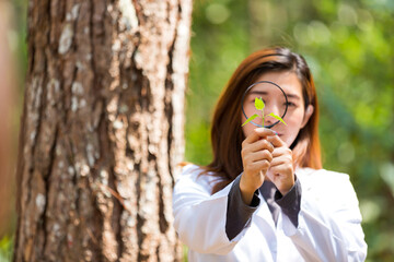 Scientists are studying plant species in the forest. female scientist looking at leaf by magnifying glass in forest. Scientist ecologist in the forest take samples of plants. Botanical scientist.