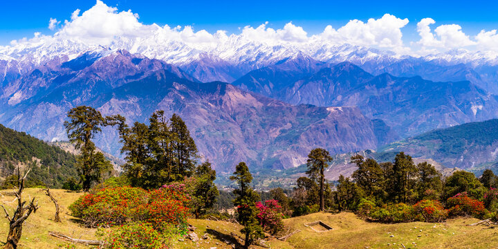 This is the view of Himalayas Panchchuli peaks & alpine landscape from Khalia top trek trail at Munsiyari. Khalia top is at an altitude of 3500m himalayan region of Kumaon, Uttarakhand, India.