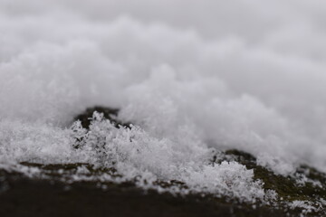 The softly quietly landed white powdering snow in Sapporo Japan