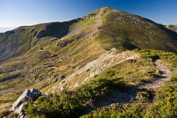 Pico cui&ntilde;a in los ancares, galicia, spain
