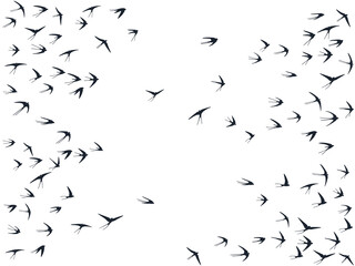 Flying martlet birds silhouettes vector illustration. Nomadic martlets flock isolated on white. 