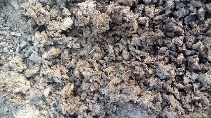 close up of a carpet of wool