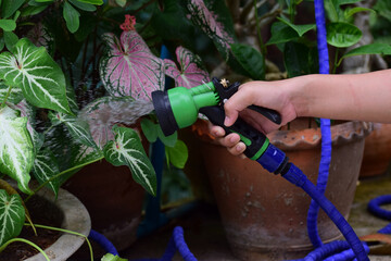 Plant watering equipment made of plastic.