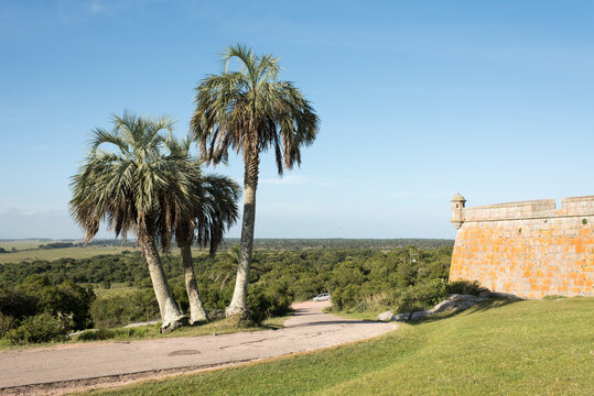 Fortress of Santa Teresa and butia palm trees, in Rocha, Uruguay