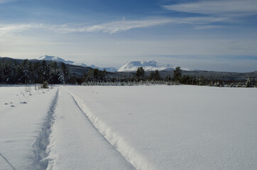 snowy field and car tracks on forest road with sunshine and mountain backdrop