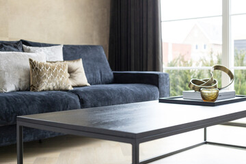 Luxury styled interior dutch living room home