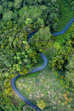 Aerial view of the winding road zigzagging through the tea plantations and forests around Mission Lodge, Mahe, Seychelles
