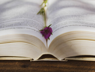 open book and vase on wooden table