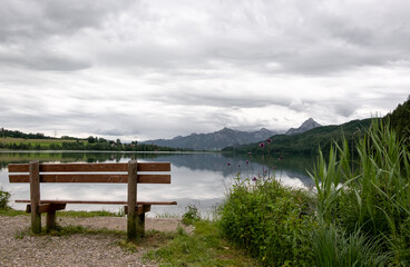 Beautiful view of the lake with wooden bench in summer. Alps
