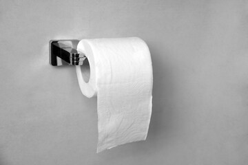 Roll of toilet paper on a shiny holder hanging of a gray wall