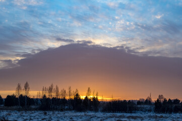 sunset in the winter forest