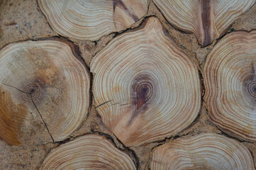 Closeup of juniper wood hot stand. Wooden texture