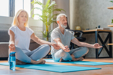 Senior couple meditating at home