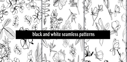 set of  Seamless pattern with hand drawn tropical plants