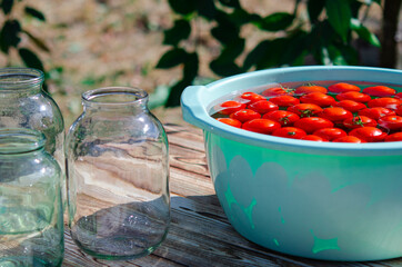 Harvest of red ripe tomatoes before winter preservation in glass jars