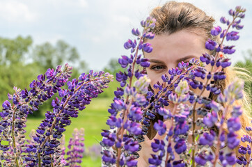 Young charming girl with wildflowers lupins