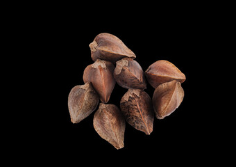 seven buckweat seeds in a peel on black background