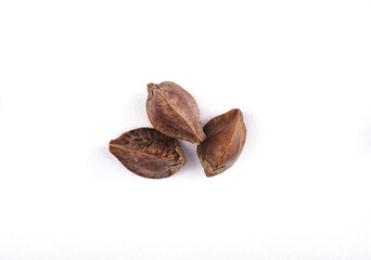 three seeds of buckweat in a peel isolated on white background