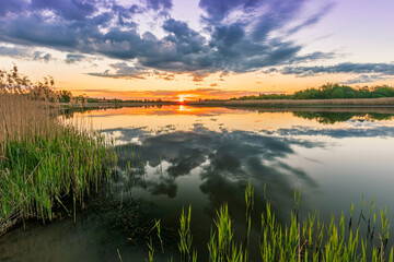 Scenic view at beautiful spring sunset with reflection on a shiny lake with green reeds, bushes, grass, golden sun rays, water ,deep blue cloudy sky and glow on a background, spring evening landscape