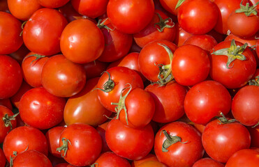A group of red tomatoes