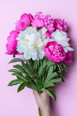White and fuchsia peonies bouquet in female hand isolated on pink background. Flat lay composition, copy space