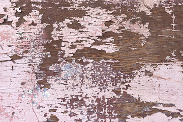 Texture of pink flaking paint on brown wooden surface. Background, wallpaper, close-up, top view
