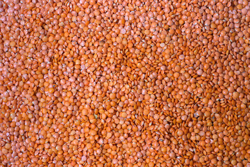 Scattered red lentil seeds texture. Grains pattern, food background, texture idea