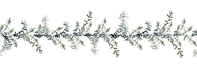 Seamless border of green rosemary twigs, isolated on white. Watercolor illustration. For adhesive tape, recipes, cookbooks, scrapbooking and packaging design.