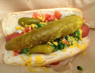 Chicago Style Hot Dog