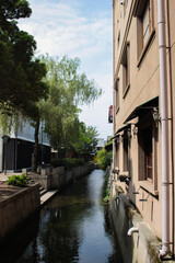 日本の歴史ある家の敷地内です。