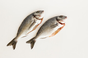 Uncooked sea bream fish on white surface with copy space,top view