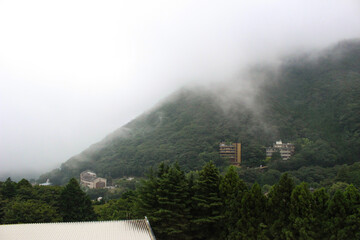 霧に包まれた山と海の中を、船は進む。