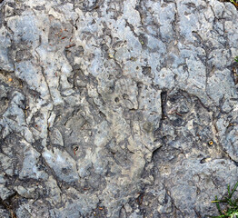 irregular rough bright surface of a natural rock with metallic glitters - background texture of a stone for a floor