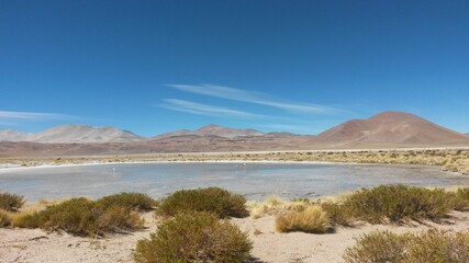 laguna