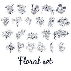 botanical Floral set set. Crocus, Forget-me-nots, Physalis, dandelion, Chamomile, Flower lily of the valley, Carnation, Clematis flowers. Vector stock illustration eps 10. Outline. Hand drawing