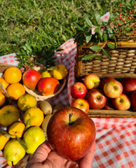 Delicious sweet apple, perfect for a picnic day in the park.