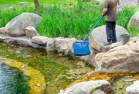 A Public Communal Service Employee Cleans The Pond Of A City Park.