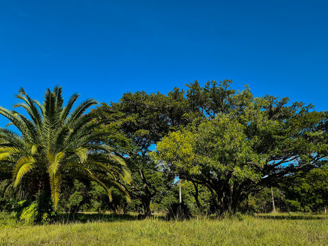 Beautiful trees, of different species, beautify the city park in autumn.